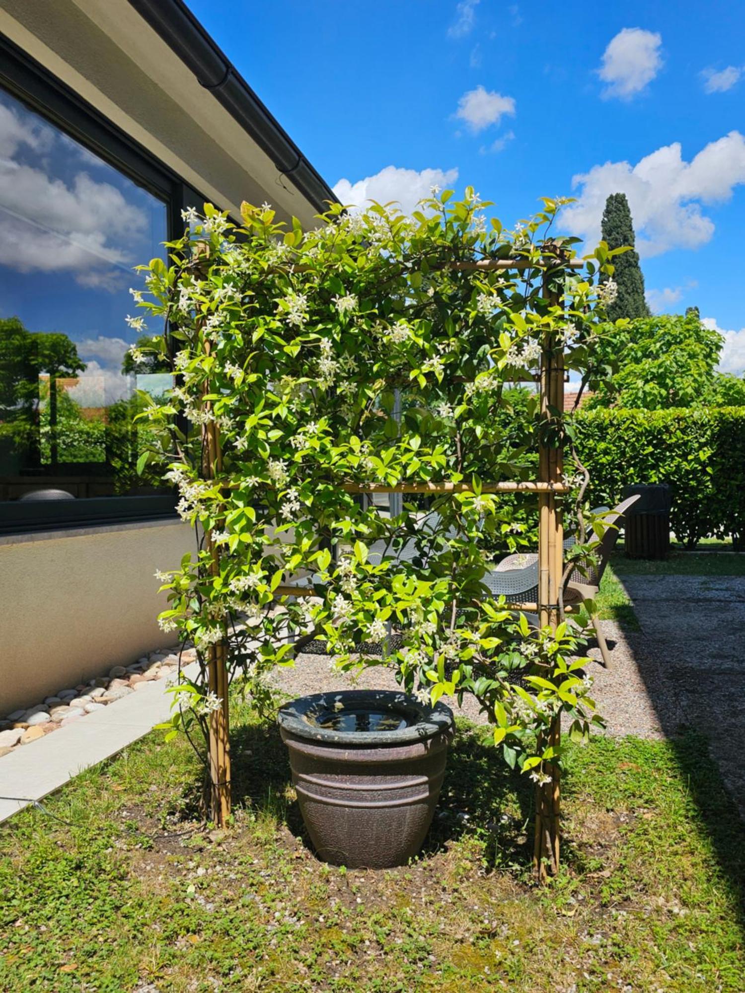 Apartments Aerodrom Podgorica Exterior photo